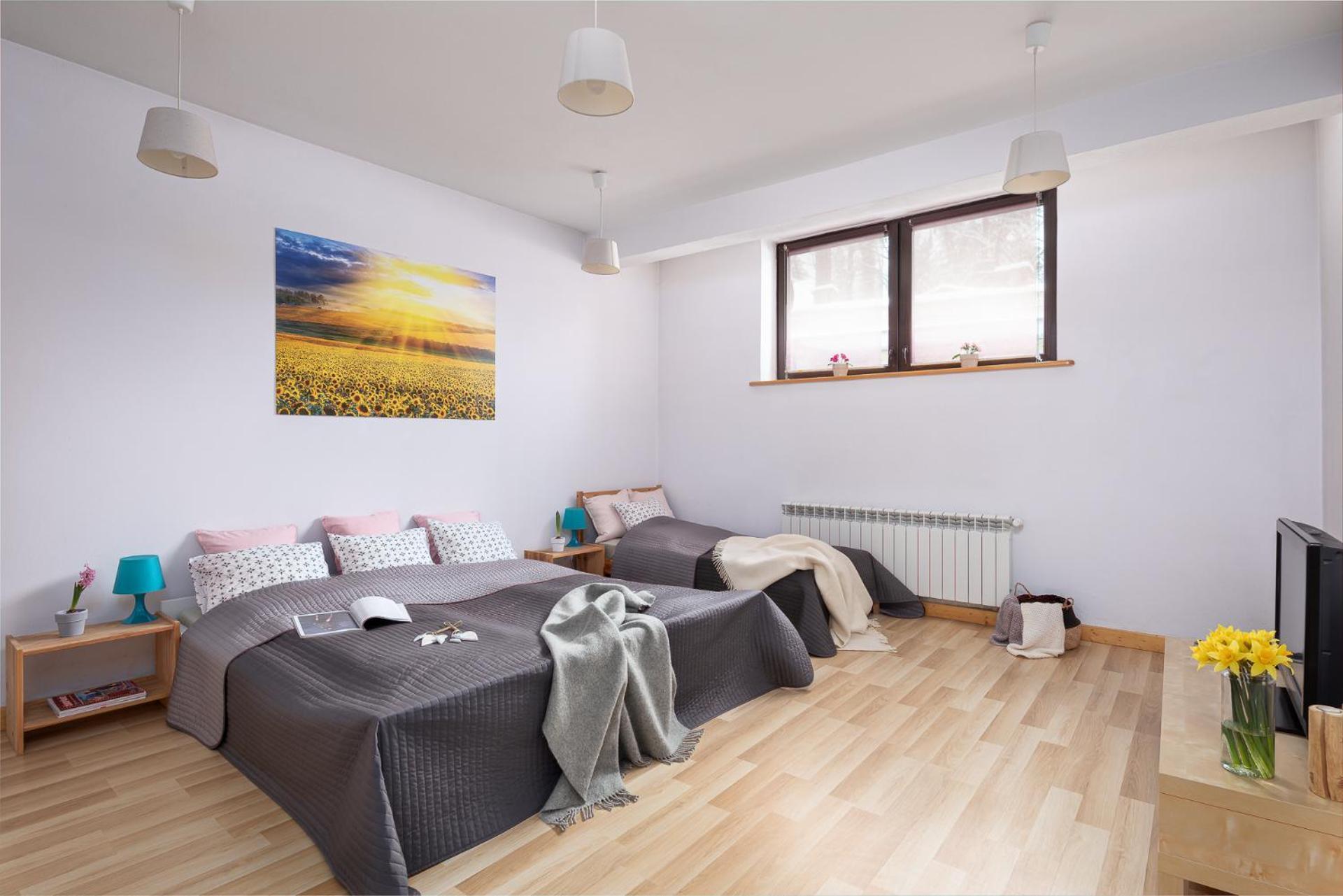 Apartament Bystre Zakopane Dış mekan fotoğraf
